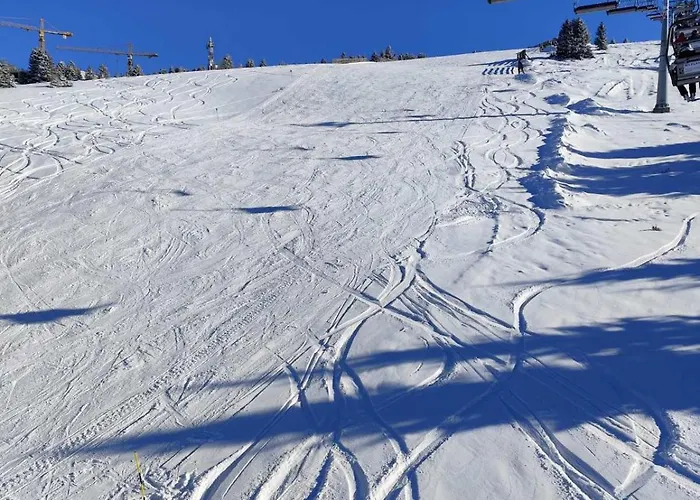 M&alux Kopaonik Lejlighed *